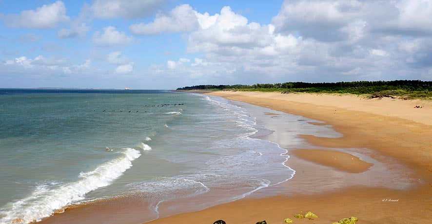 La plage de la Nouette par Henri Paul Arnaud