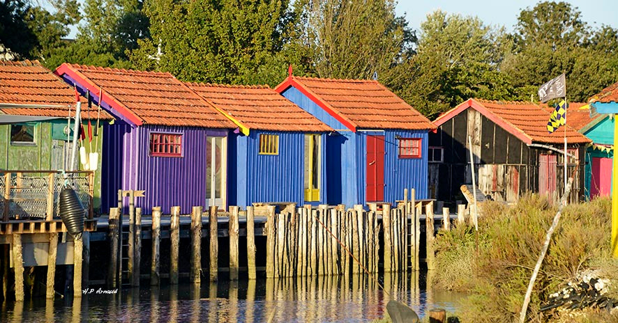 Port du pâté au Château d'Oléron par Henri Paul Arnaud